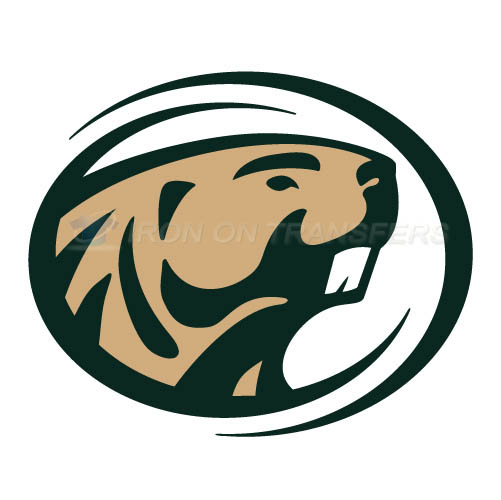 Bemidji State Beavers 2004 Logo T-shirts Iron On Transfers N3994 - Click Image to Close